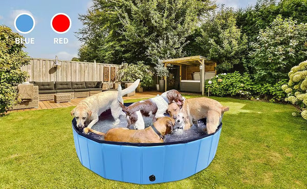 Piscină pliabilă pentru câini