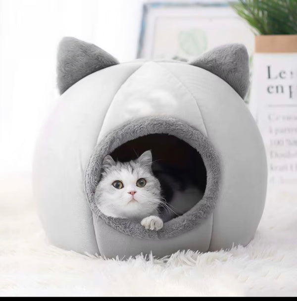 Pat igloo pentru pisici – căldură, siguranță și confort maxim.