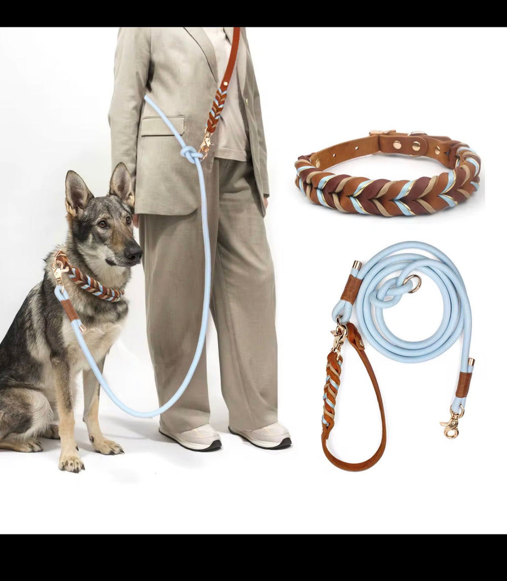 Set premium de zgarda si lesa