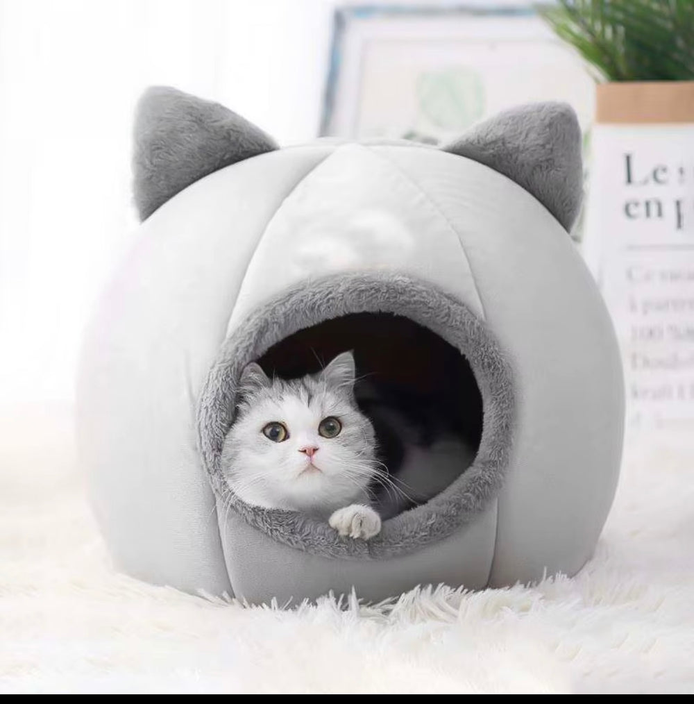 Pat igloo pentru pisici – căldură, siguranță și confort maxim.